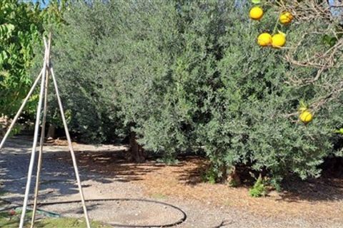 Finca i Motril, Granada, Motril - € 268.000 | Ref: 246 - foto 18